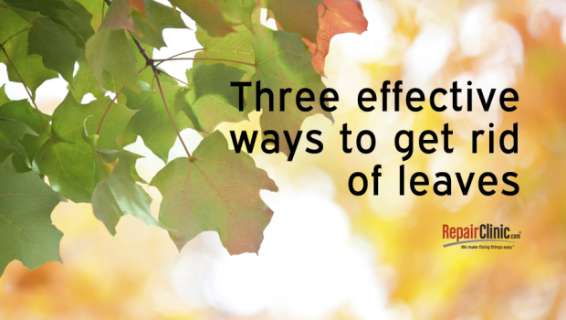 Three Effective Ways To Get Rid Of Leaves